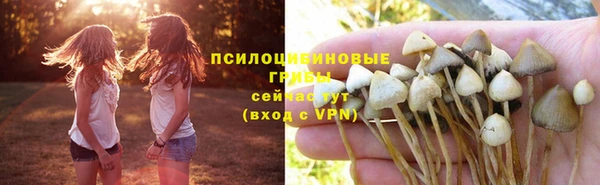 винт Верхний Тагил