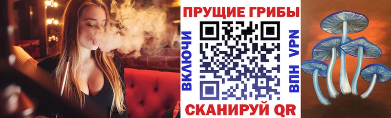 Псилоцибиновые грибы прущие грибы  Купить закладки  Почеп 